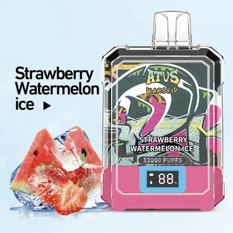 Atvs 12000 puffs (4)