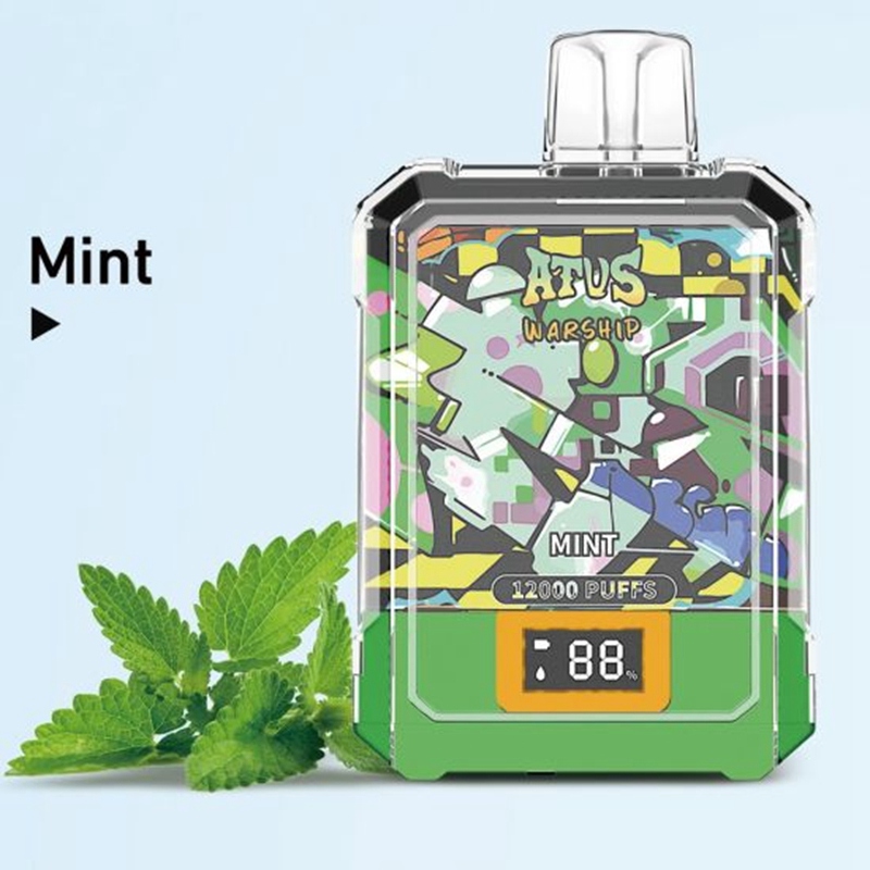 Atvs 12000 puffs (15)