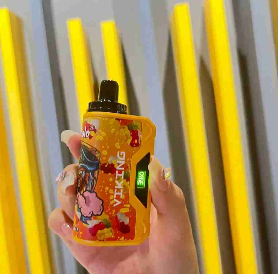 Vapsolo Viking 12000 (20)