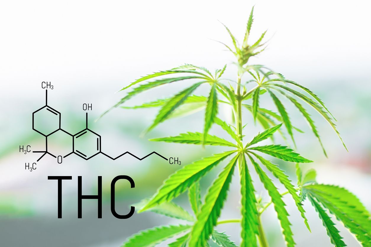 Who should avoid THC products?