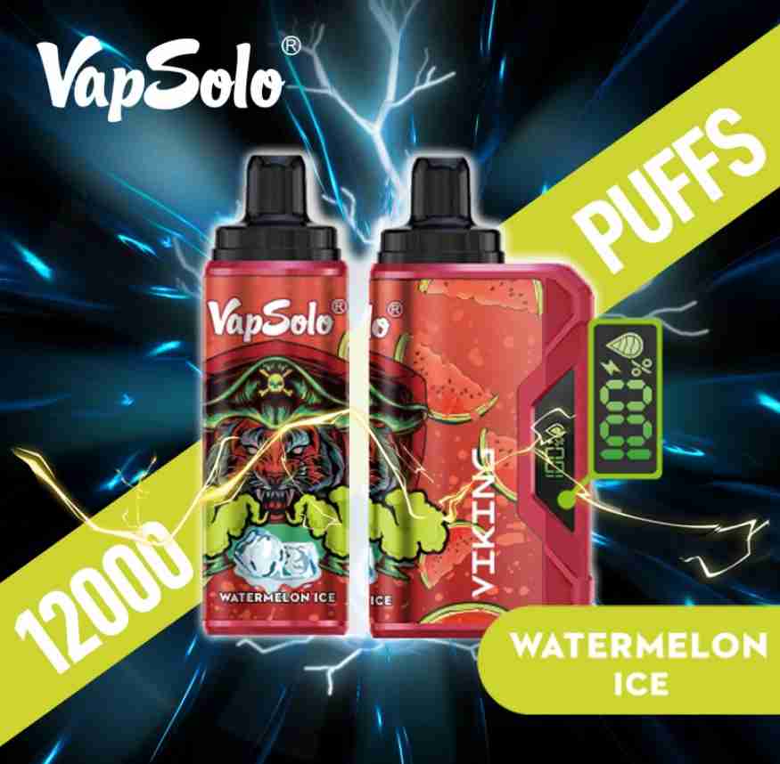 Vapsolo Viking 12000 (12)