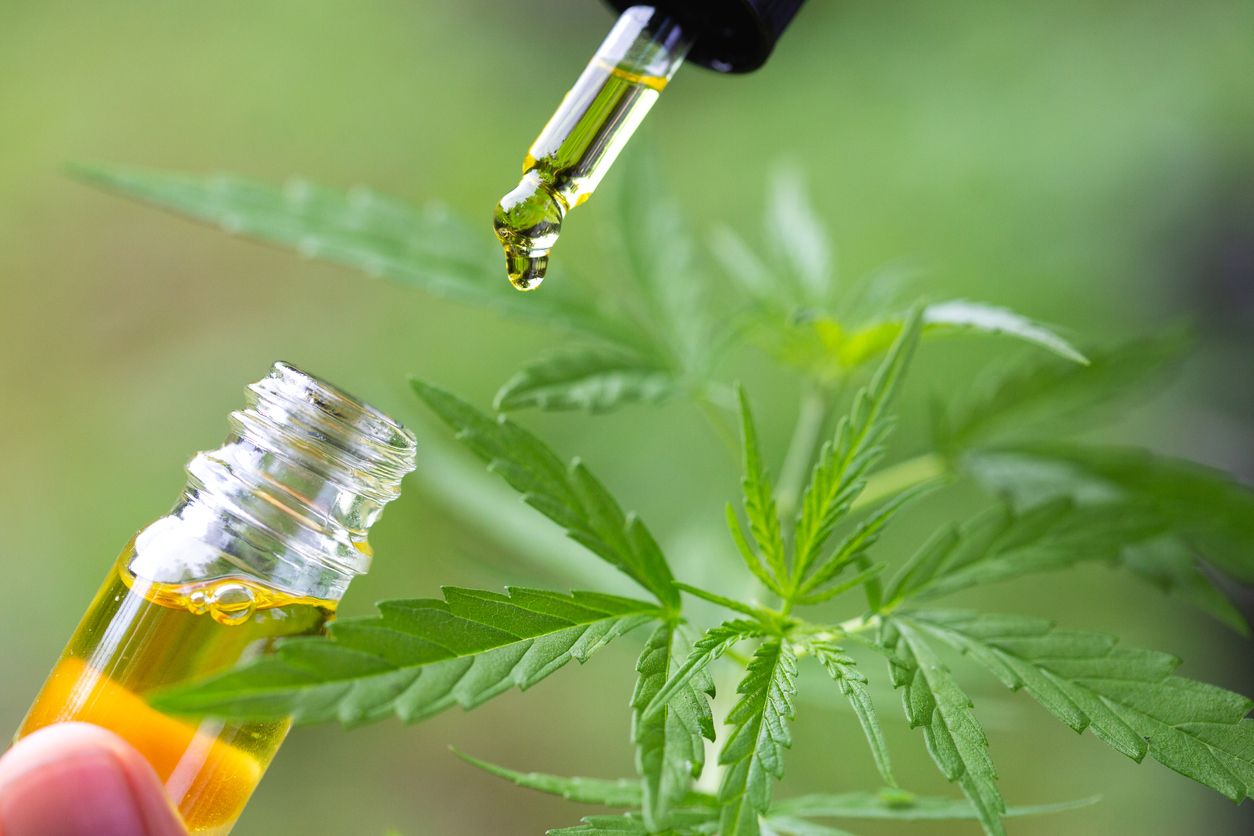 What makes hemp oil, CBD oil, and THC oil different