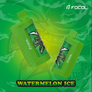 Professional Disposable 5000 Puffs Vape Wholesale Wholesale