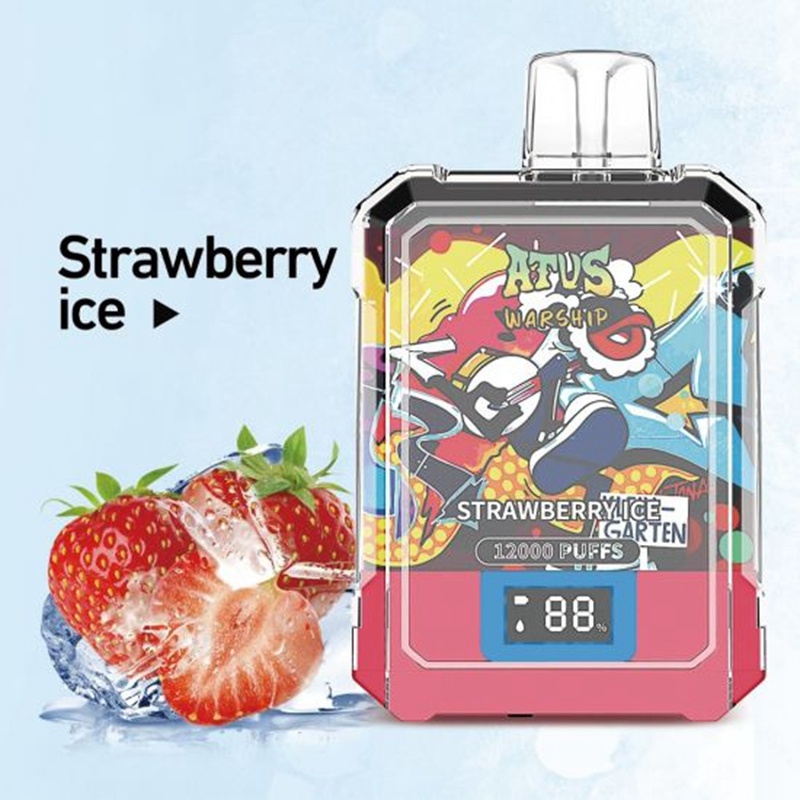 Atvs 12000 puffs (1)