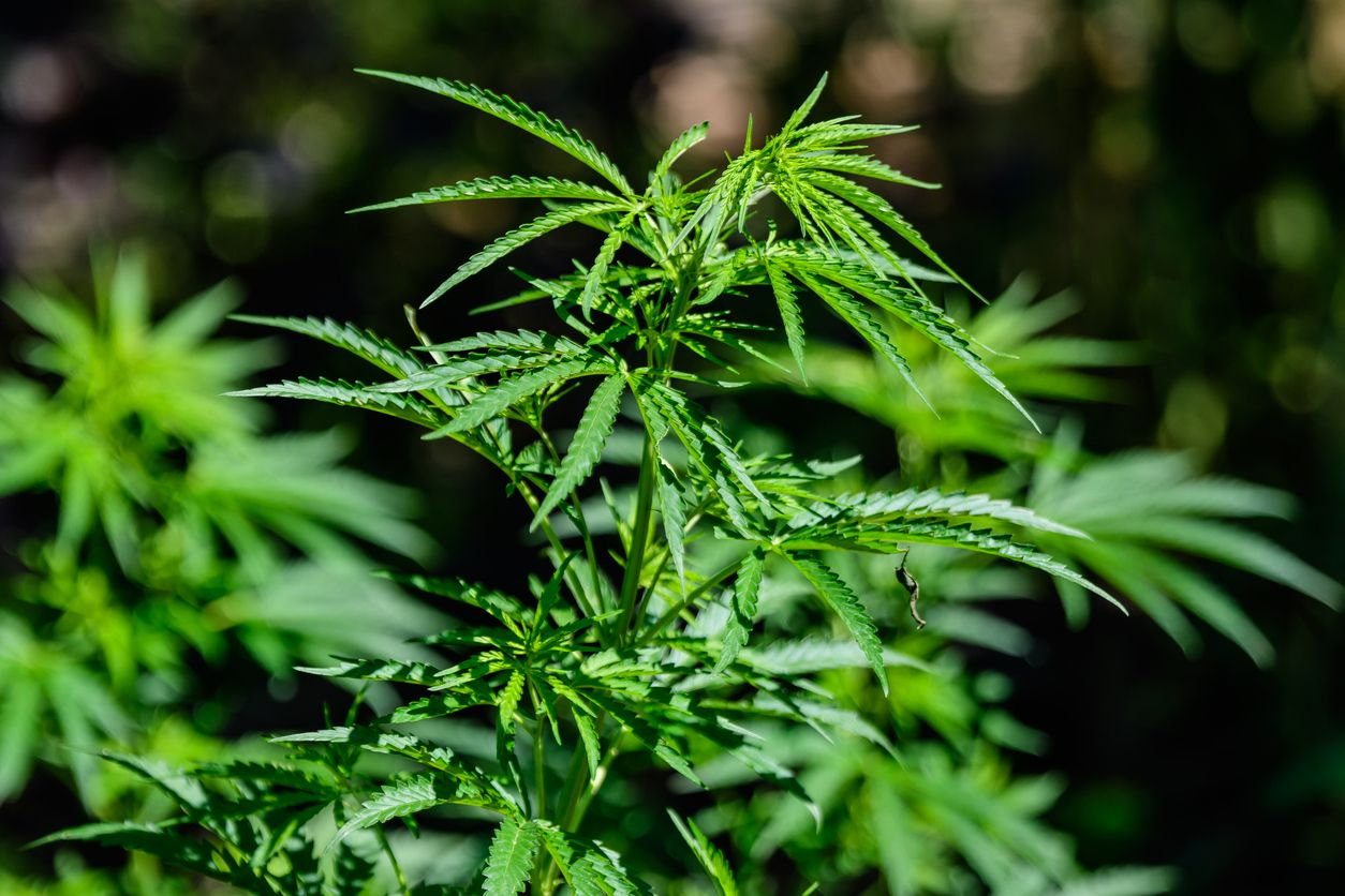 Benefits of Vaping Everyone Should Consider