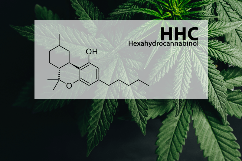 What is HHC and How Does it Compare to THC