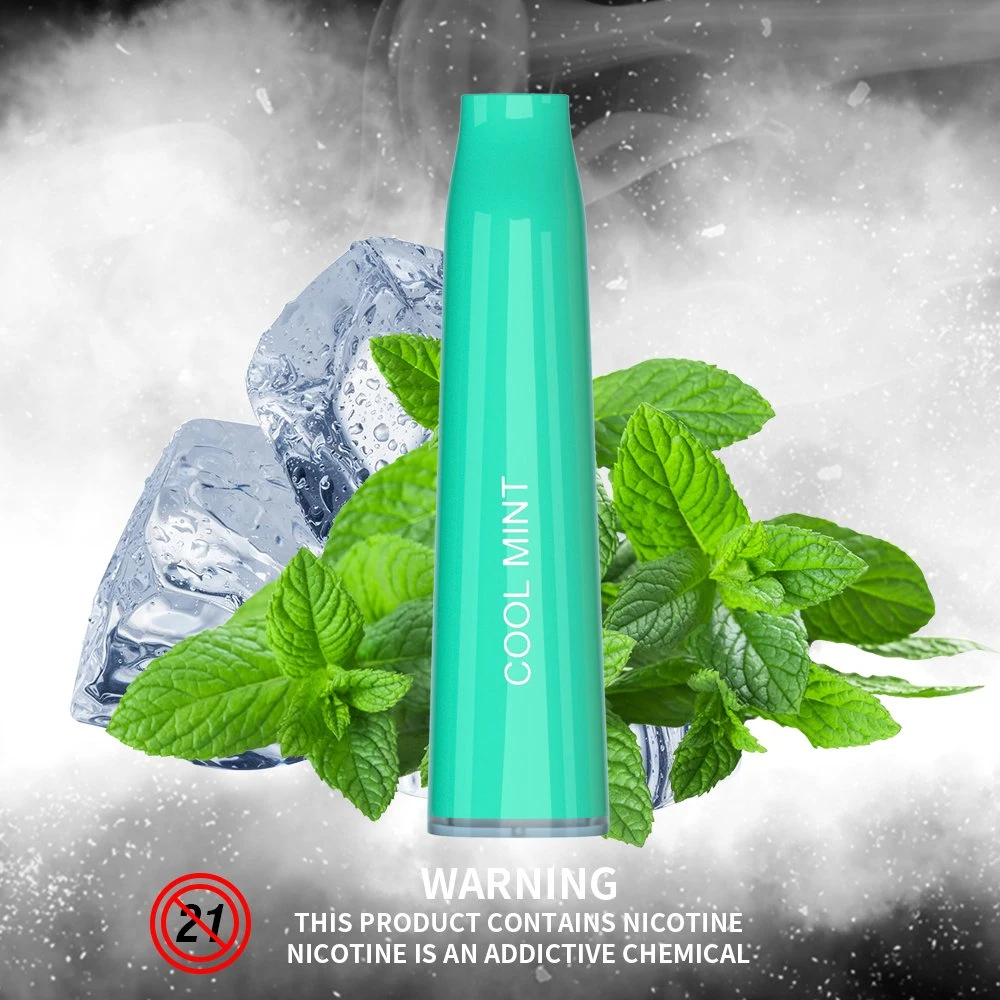 disposable vape pen e cigartte 600puffs (8)